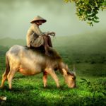 Les choses à savoir avant de voyager au Vietnam