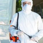 Pourquoi avoir recours à l’extermination de souris Montréal