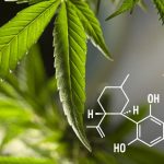 Efficacité de l’huile de CBD pour traiter l'anxiété et le stress