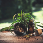 Qu’est ce que le CBD ?