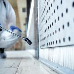 Comment se débarrasser des fourmis charpentières : 13 astuces d'experts ?