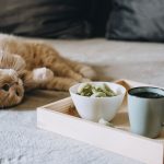 CBD pour chat : 7 Bienfaits & Avantages