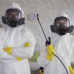 Désinsectisation à Paris : Techniques et Conseils pour un Environnement Sans Insectes
