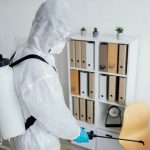 Les nuisibles dans le Grand Montréal : Une menace pour votre confort et votre santé