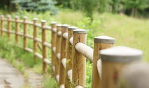 Jardin & Bricolage